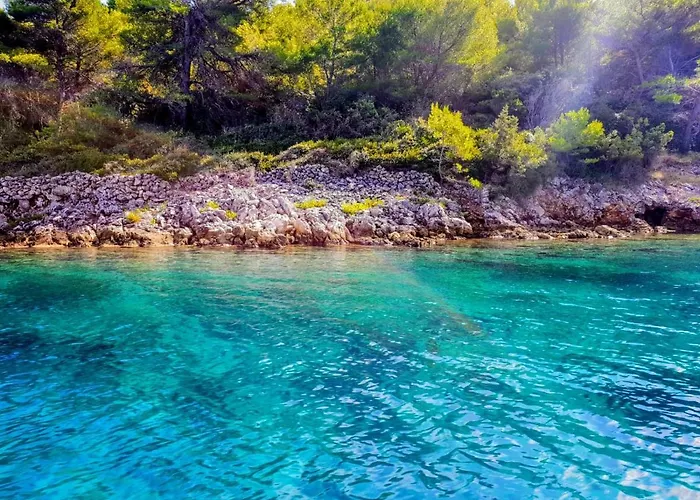 Miri Privlaka (Zadar)